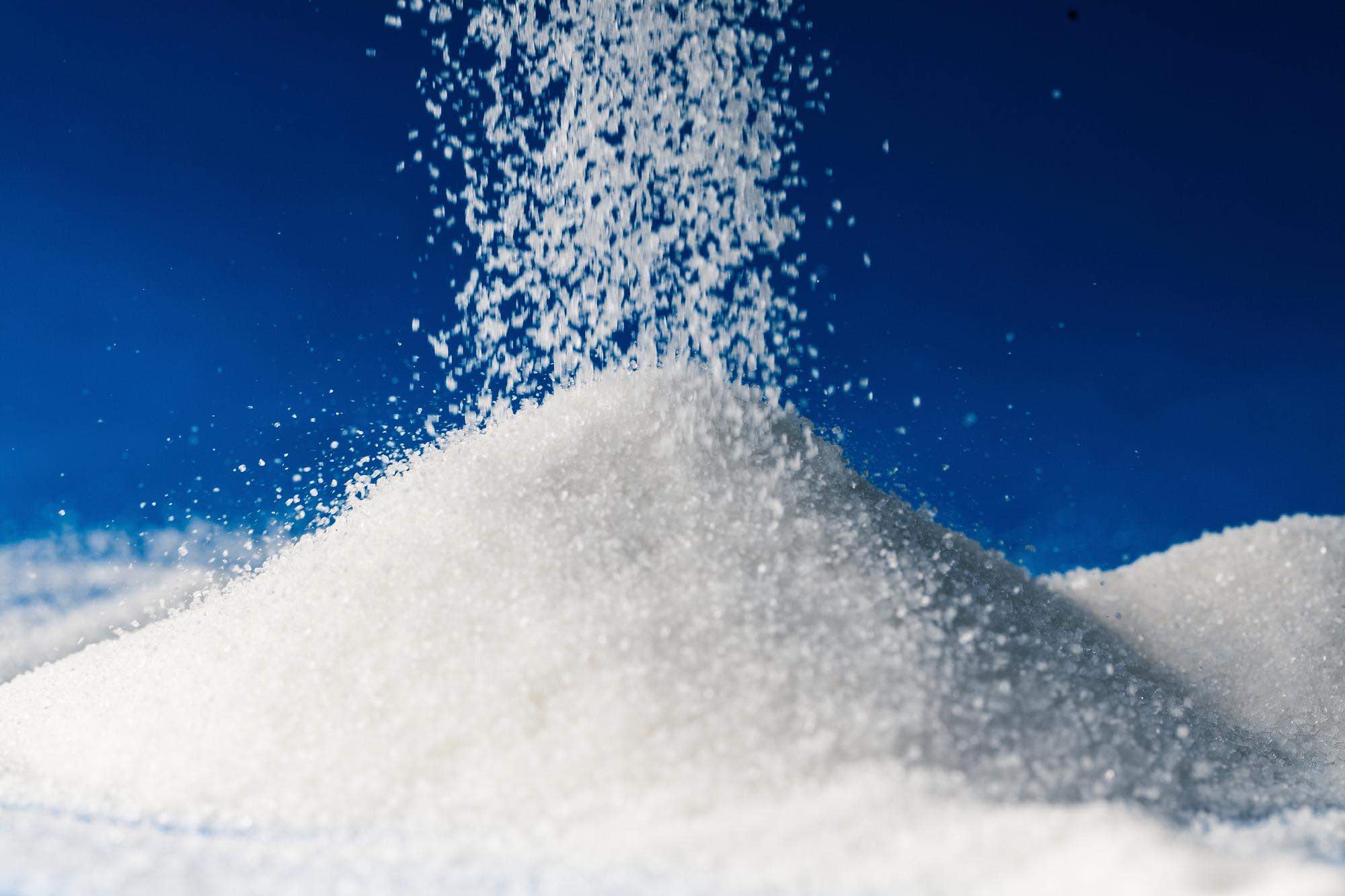 إنجازات شركة الشرقية لصناعة السكر: تلبية 15% من الاستهلاك المحلي وتوسعة التصدير للدول العربية والأوروبية